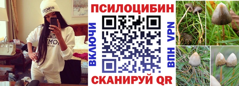 Галлюциногенные грибы Psilocybine cubensis  Уссурийск 