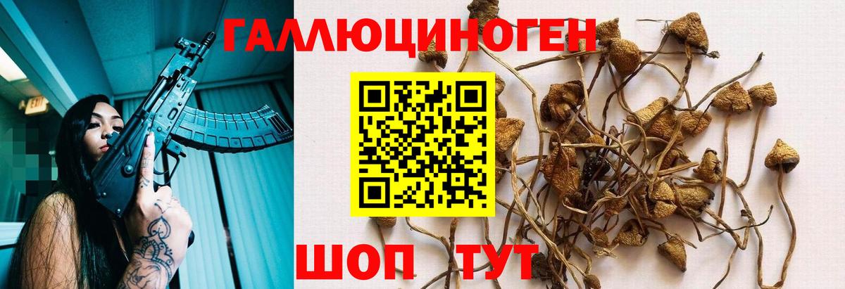 Псилоцибиновые грибы мухоморы Уссурийск